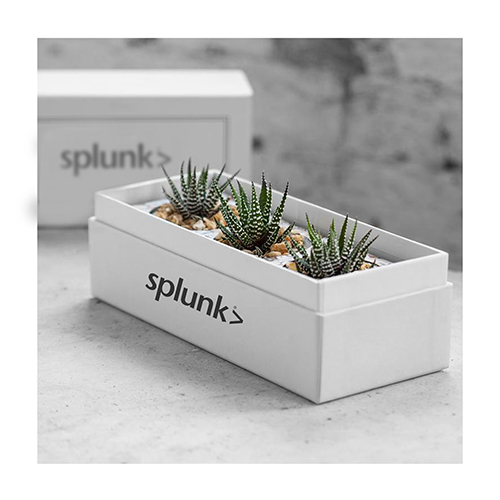 Customized Plant Box